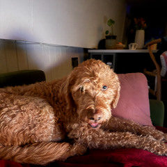 Get a Fernweh - Aly&Fila, Paul Denton, Armin van Burren, Fernweh