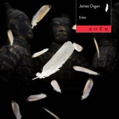 JAMES ORGAN - ENKAI [Shèn Recordings]