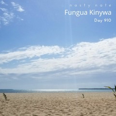 n a s t y  n a t e - Fungua Kinywa. Day 910 - SOULFUL HOUSE