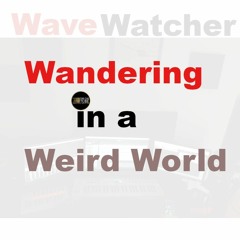 Wandering in a Weird World
