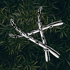 ASP_01_Ve sněhu zeleň