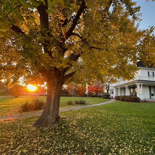 Fall 25 Live Session Mix (119 tracks of UKG/Bass/Breaks)