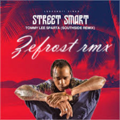 STREET  SMART - [ ZEFROST REMIX_2024 ]