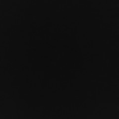 Denver's Larimer Lounge on January 2nd, 2022.mp3