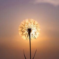 Beacon Of Hope