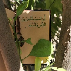 دعاء الندبة | مجتبى تراب