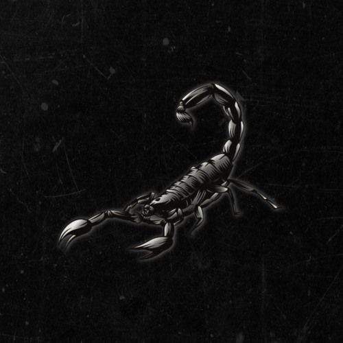 SCORPION- Computer ID