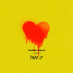 Fake It (Warehouse Mix) [feat. Aaron Cole]