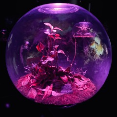 ✨👁️🦻🌅 KITrust 🌕 20230307 🌌👃👅⚡️