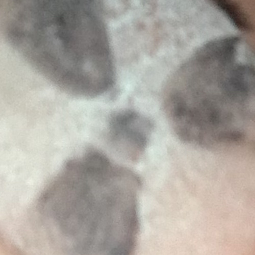 pk-266-