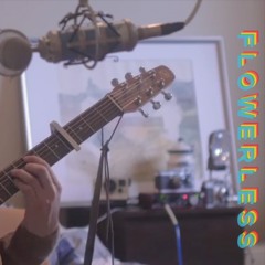 Drake - Hotline Bling (Flowerless acoustic emo cover)