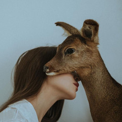 MiniMix | محميّة الغزلان 🦌
