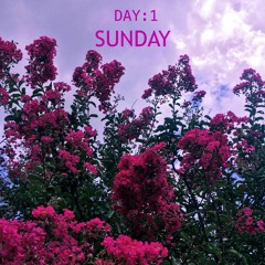 Day 1 - Sunday (demo)