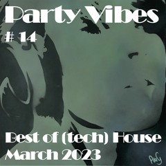 Party Vibes #14 House Music [Todd Terry, Mau P, Dom Dolla, Fred Again, Atlantic ocean, Fresh & more]
