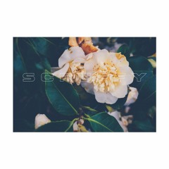 Scruffy Ft. Jor, Shane Doe, Daisy In The Back Seat