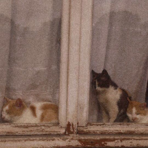 tired - beabadoobee (sped up)