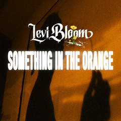 Something In The Orange (Freestyle)
