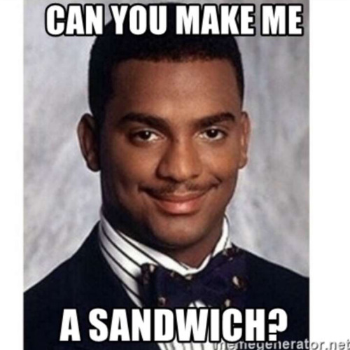 can you make me a sandwich?