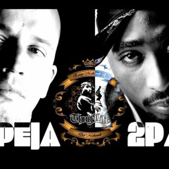 2Pac Ft. Peja Slums Attack - Właściwy wybór [Old School Remix]