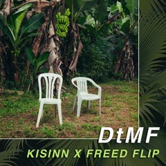 DtMF (Kisinn x Freed Flip)