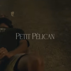 PNL-(Exclu)- Petit pélican