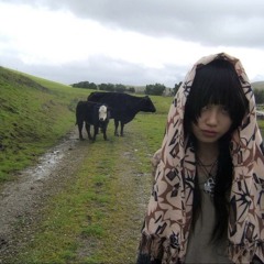 red light sign, but we go