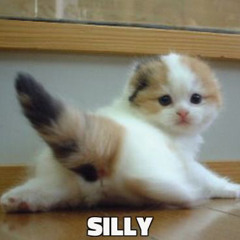 Пошлая Молли - Крисмас Клаб минус