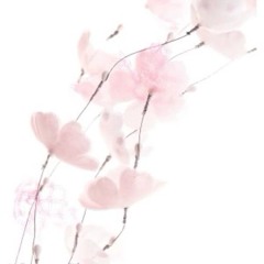 ‿‿ ♡ :　 𝓟laylist 2