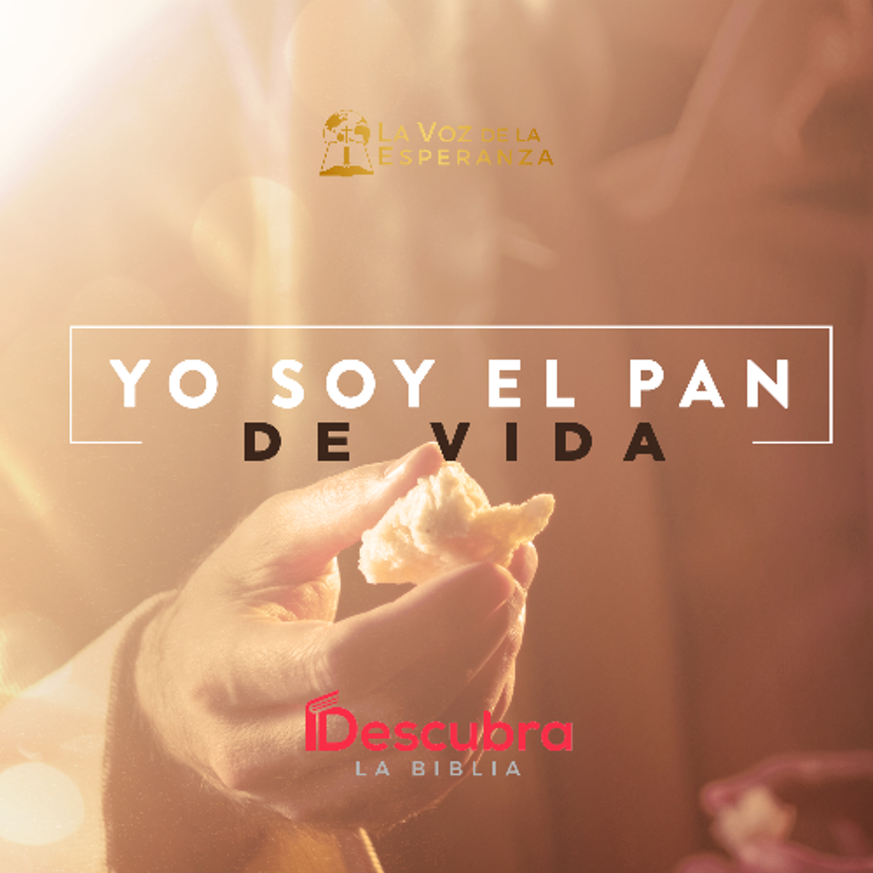 Yo soy el pan de vida