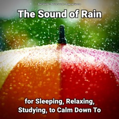 The Sound of Rain for Sleeping and Relaxing Pt. 24