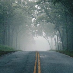 Beaver background size cover FREE DOWNLOAD