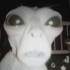 Lil kobra ALIENACJA (LEAK)