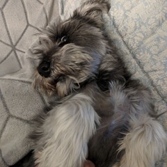 efu favourite mixes of all time