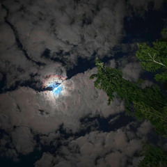 ما لم تقله زرقاء اليمامة - حمود بن بدر