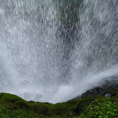 Melodic Deep part 219