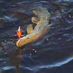 EEM TRIPLIN - LOUIE V MYDNYT3 REMIX