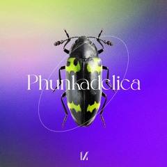 Phunkadelica - By The Power Of Grayskull [Multinotes]