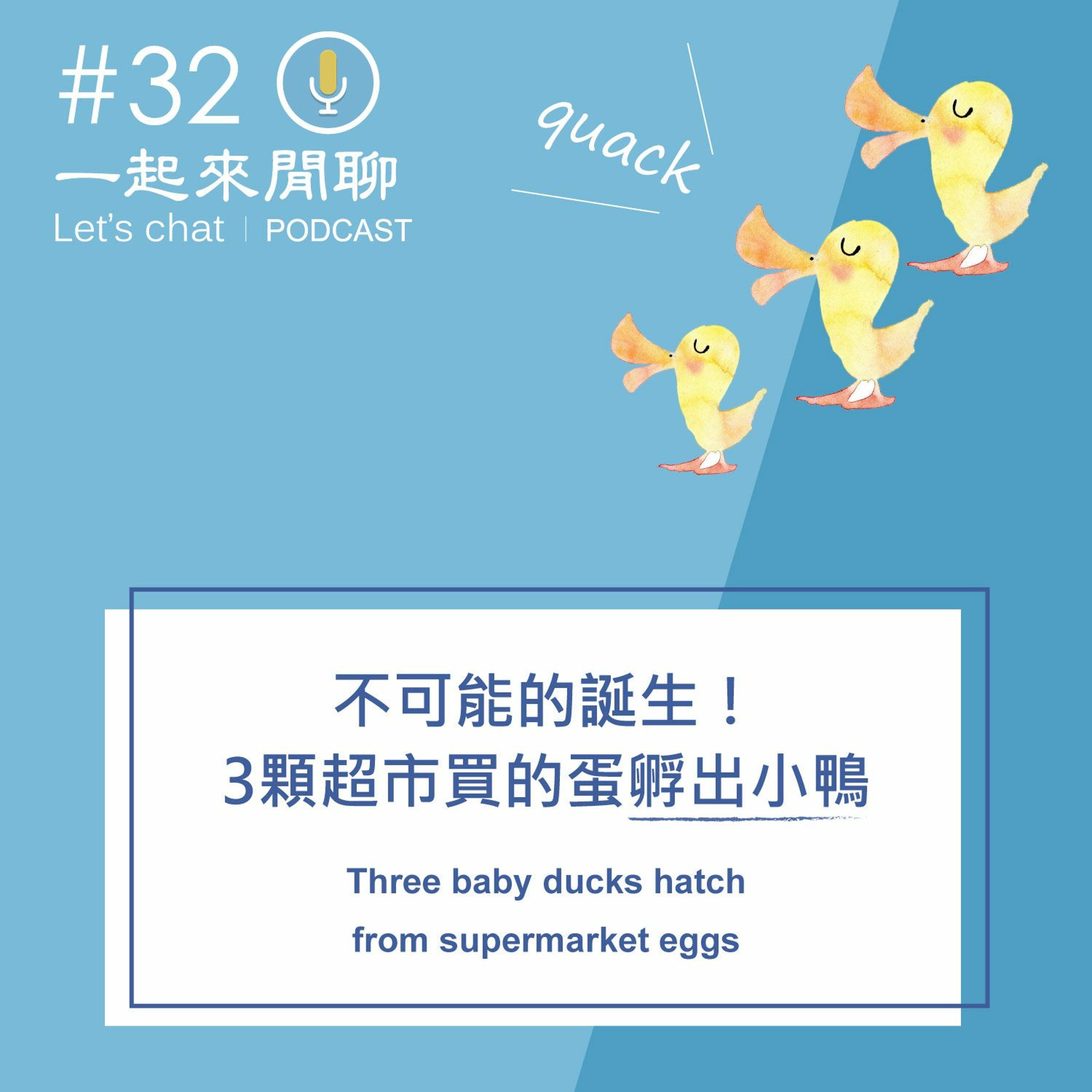 #32 不可能的誕生！3顆超市買的蛋孵出小鴨