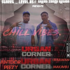 LIL_BAWAN_(CHILL VIBES)_&_ANTDOR_PEEZY._SON_OFFICIEL_mp3