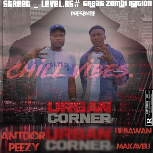 LIL_BAWAN_(CHILL VIBES)_&_ANTDOR_PEEZY._SON_OFFICIEL_mp3