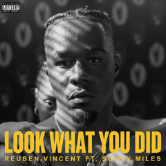 Look What You Did (feat. Sonny Miles)