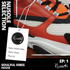 Soulful Vibes EP: 1
