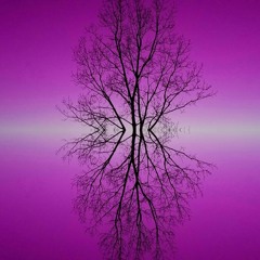 Nobody Else (prod. Bedrm, Jesgeebeats)