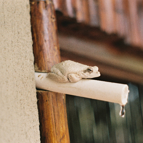 Front Left