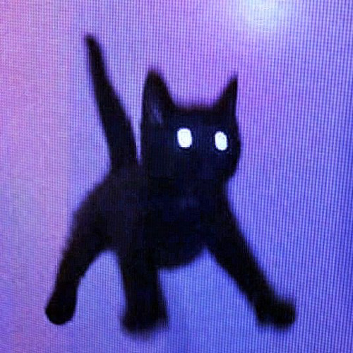 GUYS LOOK…A PUSY AUGHHH ITS PRETTY Let’s Catch It  Goofy Ahh Walking  FART REVERB