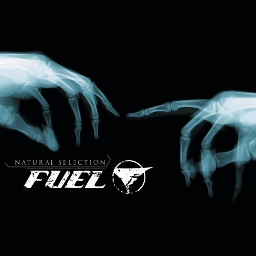 FUEL – WON'T BACK DOWN