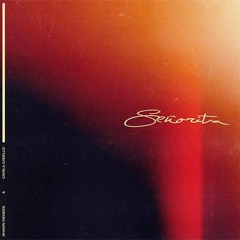Senorita - Shawn Mendes & Camila Cabello (REMIX)