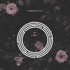 P1lgr1ms - Flute (Original Mix)