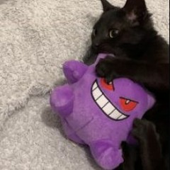 Free for profit x D0llywood x pwnd type beat