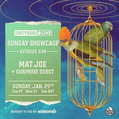 Love Stream 017 | Dirtybird LIVE : Mat.Joe & C'mon